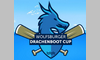 7. Wolfsburger Drachenboot Cup 2026